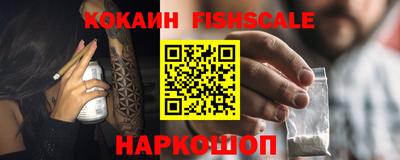 шишки Новодвинск