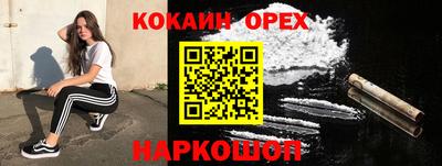 jwh Новозыбков