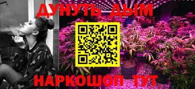 jwh Новозыбков