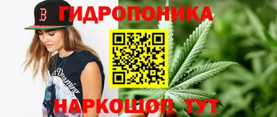 бошки Новокубанск