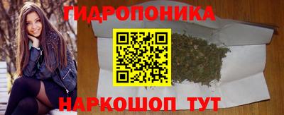 шишки Новодвинск