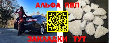шишки Новодвинск