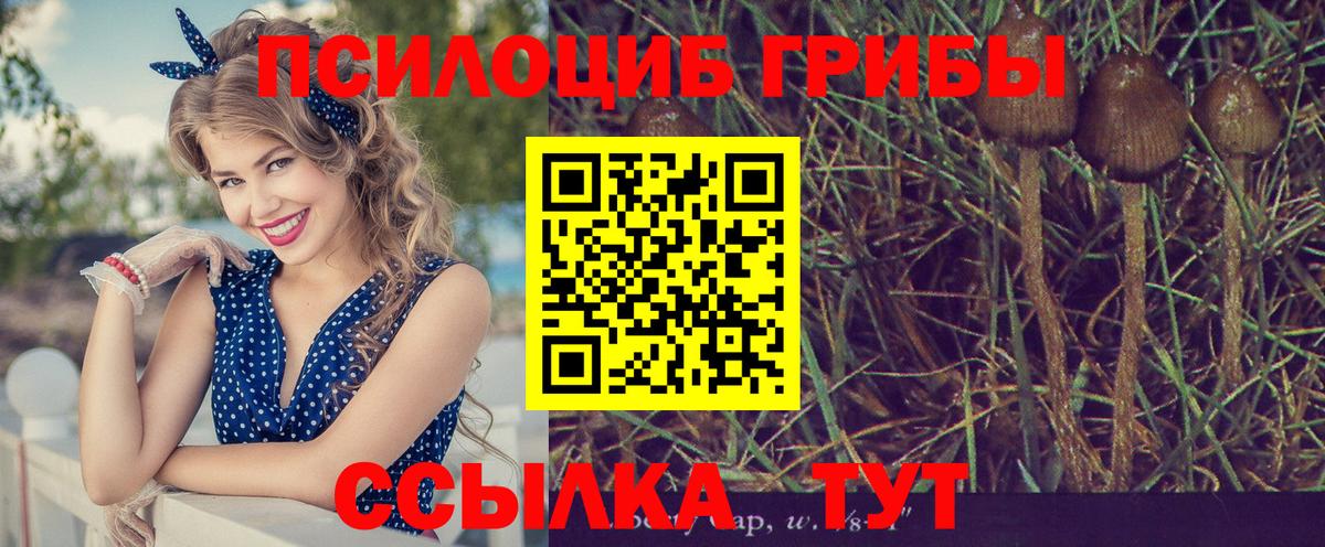Галлюциногенные грибы Psilocybine cubensis  Вход с VPN  купить наркотик  Сосновоборск 