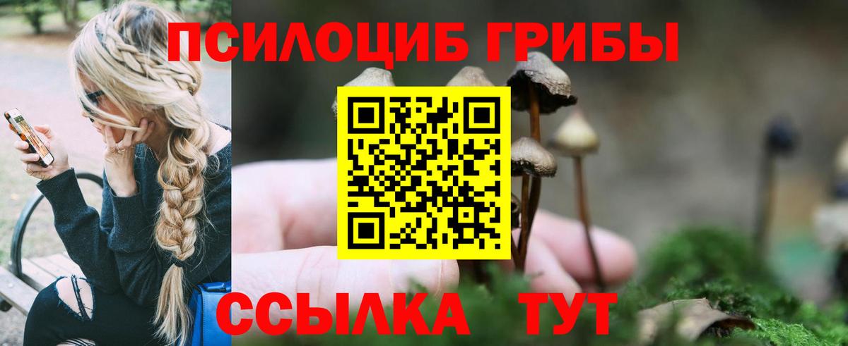 Псилоцибиновые грибы Magic Shrooms Сосновоборск